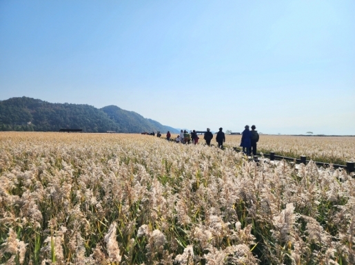 ¿©Çà »çÁø4 ¿©Çà »çÁø4