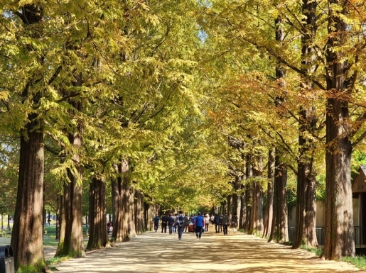 ¿©Çà »çÁø2 ¿©Çà »çÁø2