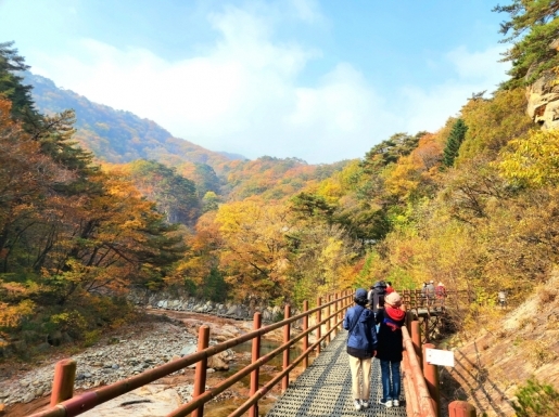 ¿©Çà »çÁø4 ¿©Çà »çÁø4