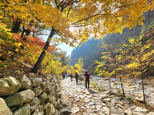 ¿©Çà »çÁø5 ¿©Çà »çÁø5