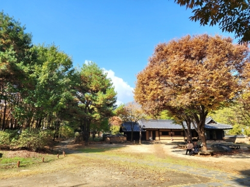 ¿©Çà »çÁø6 ¿©Çà »çÁø6