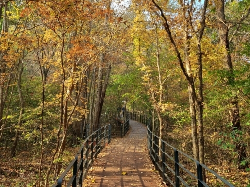 ¿©Çà »çÁø2 ¿©Çà »çÁø2