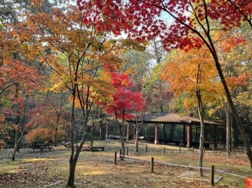 ¿©Çà »çÁø4 ¿©Çà »çÁø4