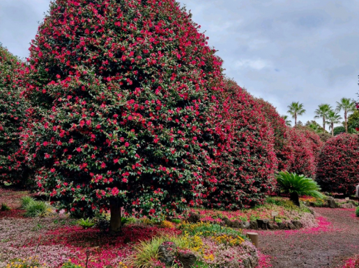 ¿©Çà »çÁø2 ¿©Çà »çÁø2