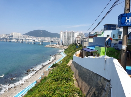 ���� ����5