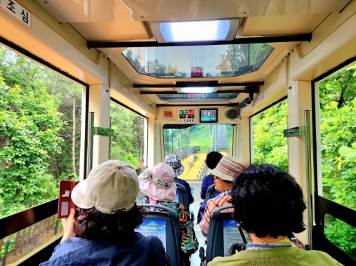 ���� ����4