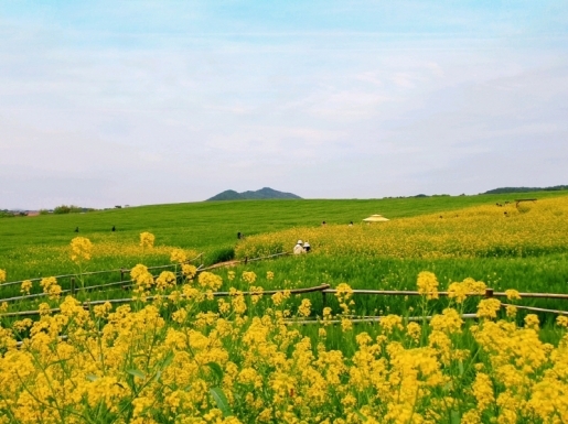 ���� ����2