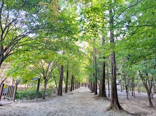 ���� ����3