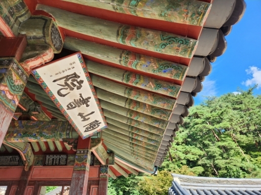 ���� ����5