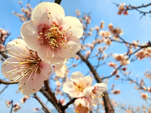 ���� ����2