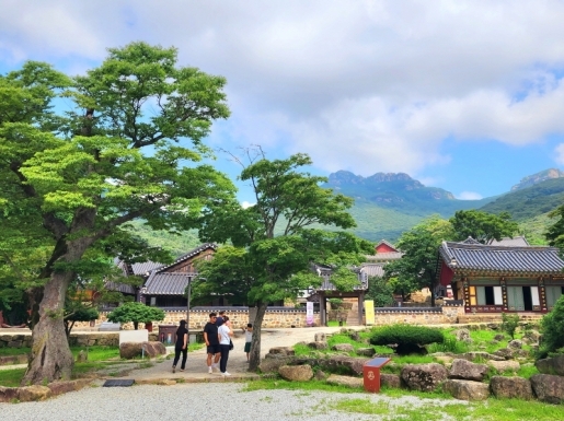 ¿©Çà »çÁø5 ¿©Çà »çÁø5