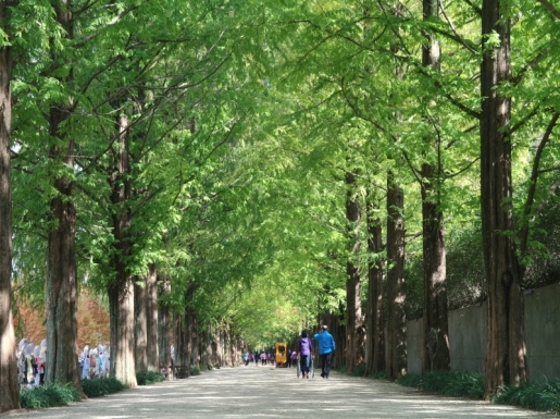 ���� ����3