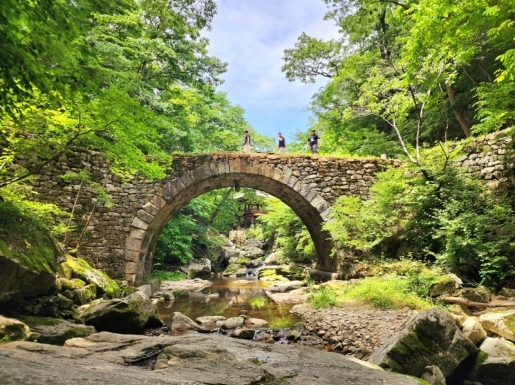 ���� ����2