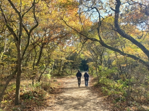 ¿©Çà »çÁø7 ¿©Çà »çÁø7