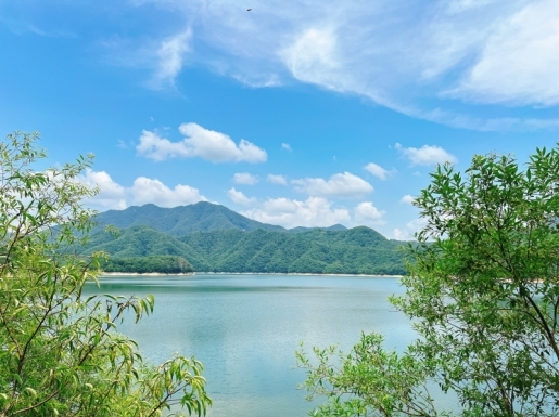 ¿©Çà »çÁø6 ¿©Çà »çÁø6