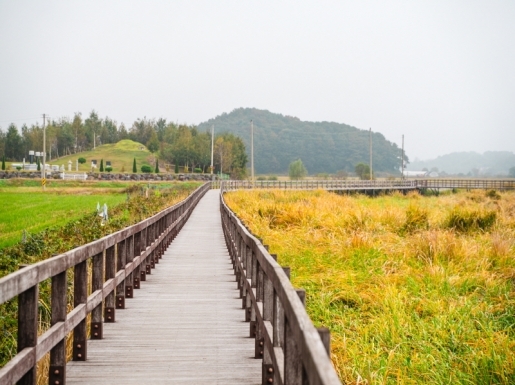 ¿©Çà »çÁø6 ¿©Çà »çÁø6