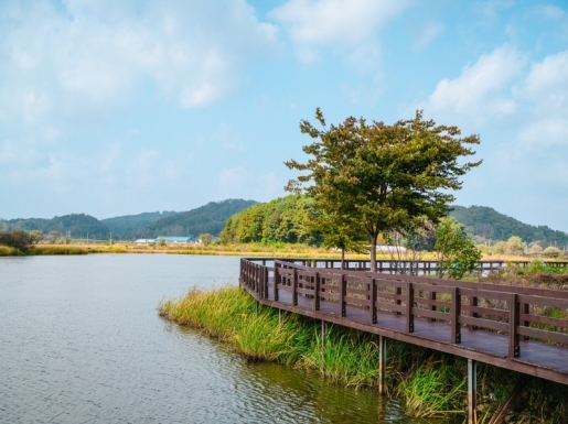 ¿©Çà »çÁø5 ¿©Çà »çÁø5