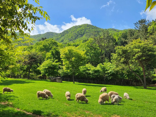 ¿©Çà »çÁø6 ¿©Çà »çÁø6