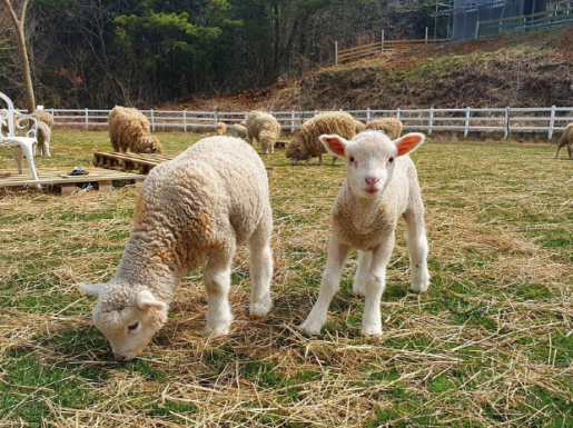 ¿©Çà »çÁø5 ¿©Çà »çÁø5