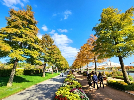 ¿©Çà »çÁø2 ¿©Çà »çÁø2