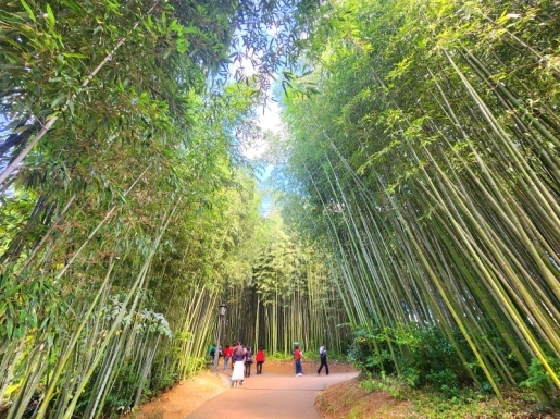 ¿©Çà »çÁø6 ¿©Çà »çÁø6