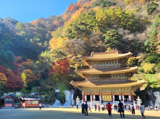 ¿©Çà »çÁø3 ¿©Çà »çÁø3