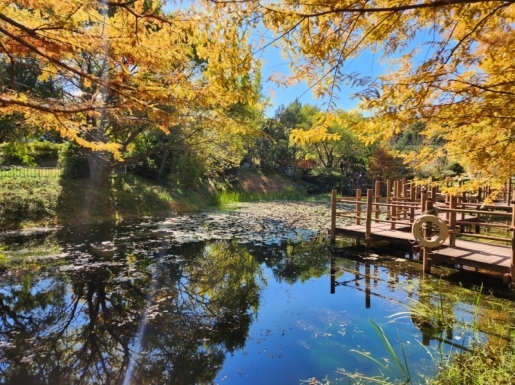 ¿©Çà »çÁø7 ¿©Çà »çÁø7