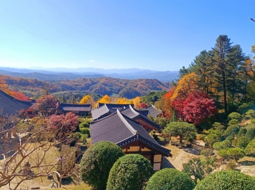 ¿©Çà »çÁø2 ¿©Çà »çÁø2