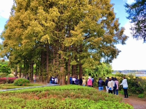 ¿©Çà »çÁø4 ¿©Çà »çÁø4