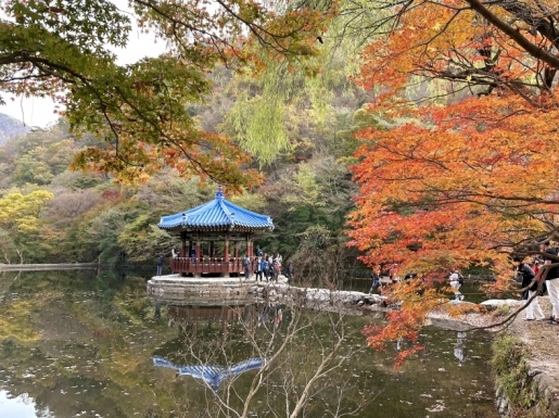 ¿©Çà »çÁø2 ¿©Çà »çÁø2