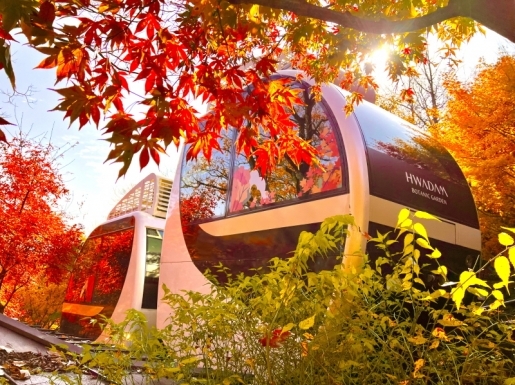 ¿©Çà »çÁø2 ¿©Çà »çÁø2