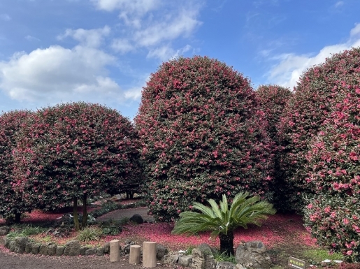 ¿©Çà »çÁø2 ¿©Çà »çÁø2