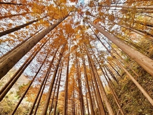 ¿©Çà »çÁø2 ¿©Çà »çÁø2