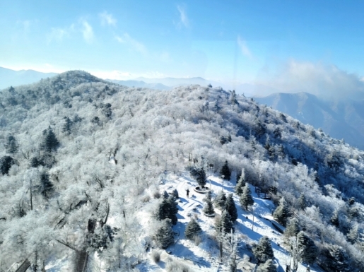 ���� ����3