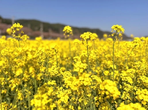 ���� ����2