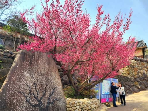 ���� ����4