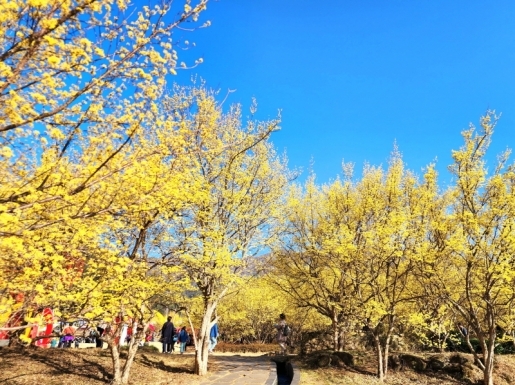 ���� ����6