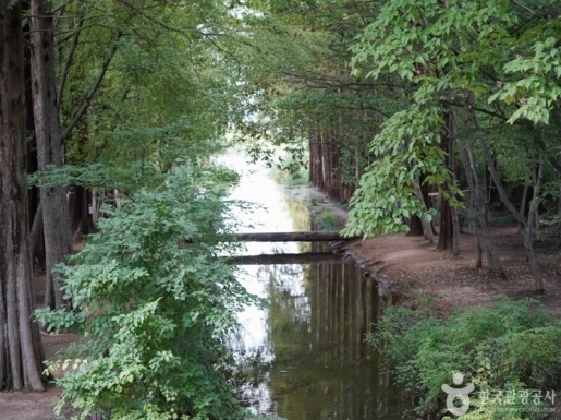 ���� ����6