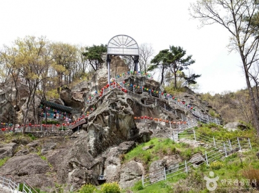 ���� ����7