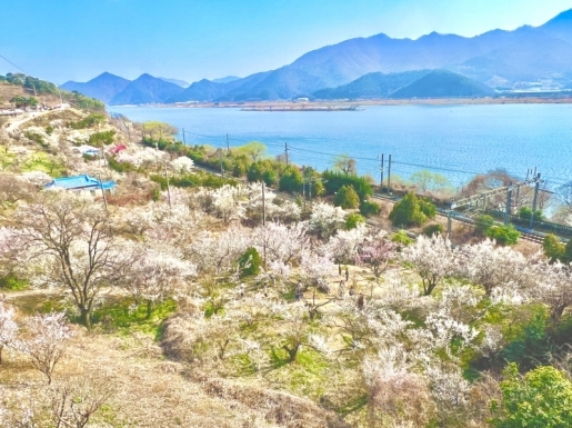 ���� ����3