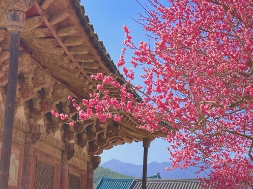 ���� ����2