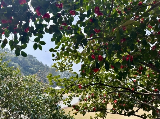 ���� ����2