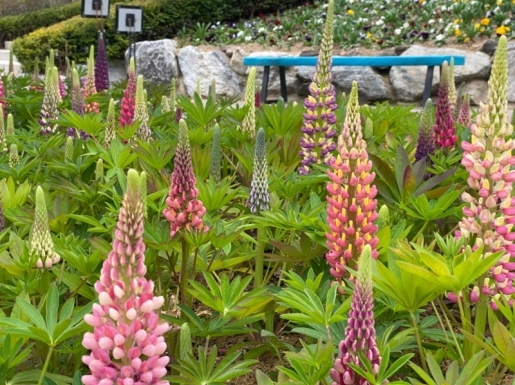 ¿©Çà »çÁø6 ¿©Çà »çÁø6