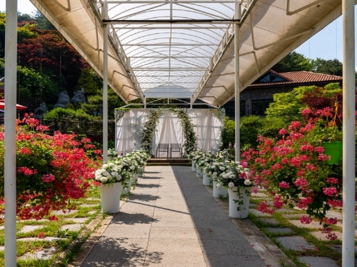 ¿©Çà »çÁø5 ¿©Çà »çÁø5