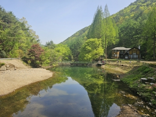 ���� ����5