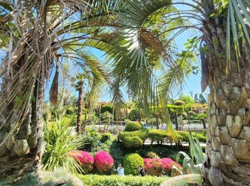 ¿©Çà »çÁø2 ¿©Çà »çÁø2