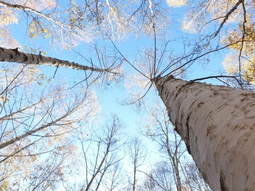 ¿©Çà »çÁø3 ¿©Çà »çÁø3