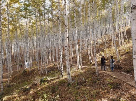 ¿©Çà »çÁø2 ¿©Çà »çÁø2