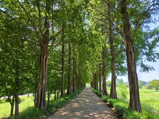 ���� ����6