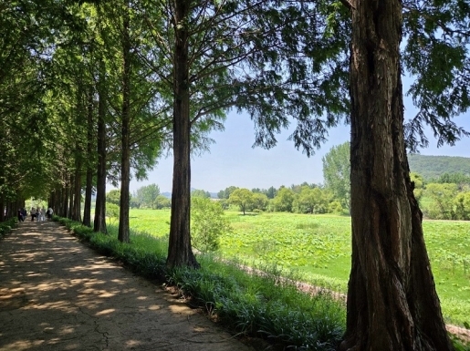 ���� ����7